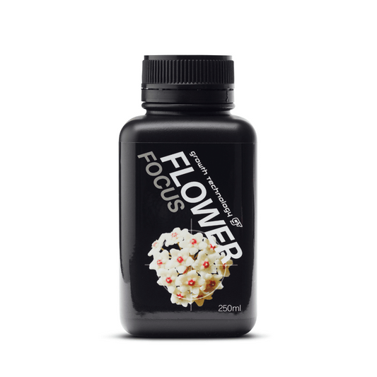 Flower Focus