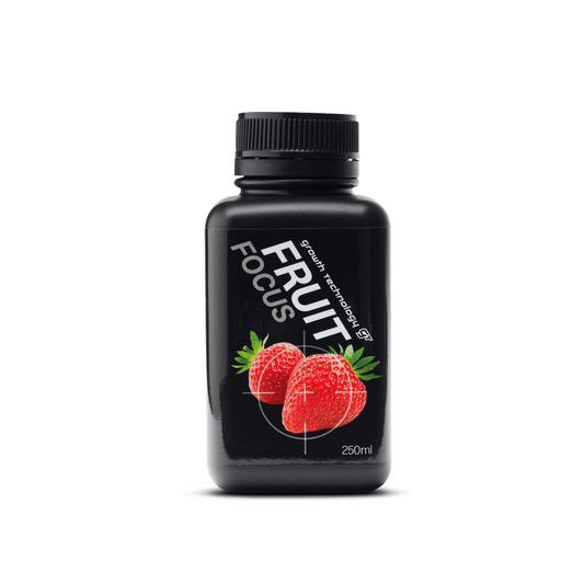 Fruit Focus