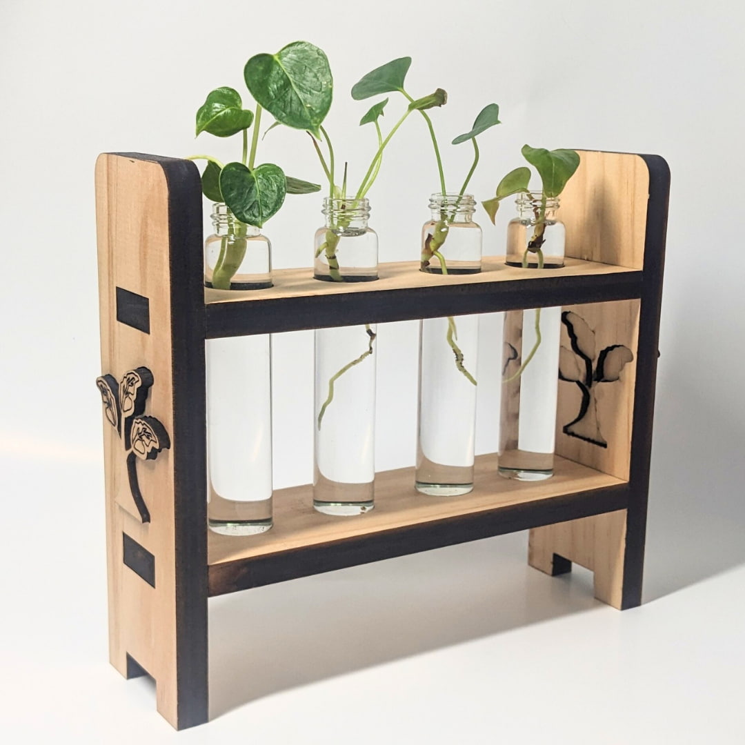 indoor plant propagation kit Propagation Kit with Wooden Holder | Gifts That Grow