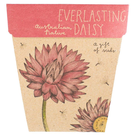Seed Packet Gift Card