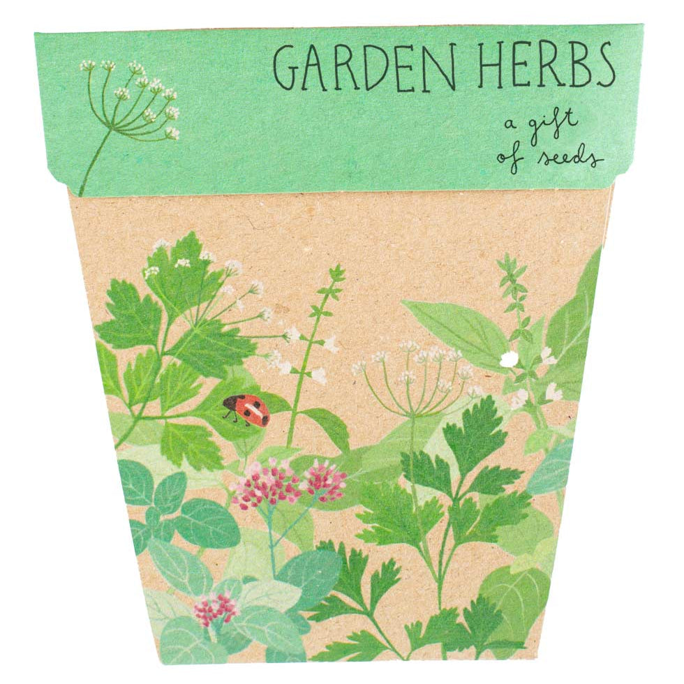 Seed Packet Gift Card