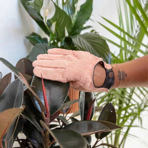 We The Wild: Leaf Care Kit