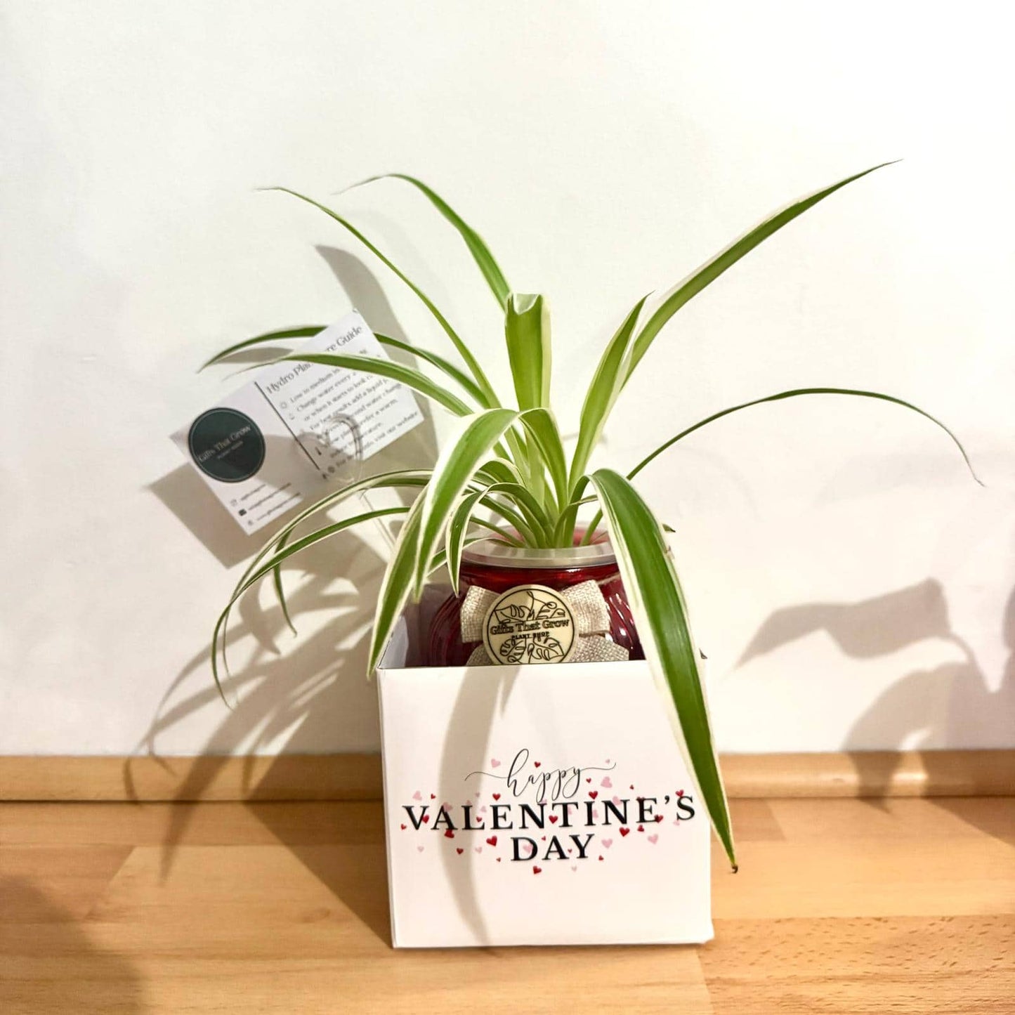 Valentines Gift Box (White)